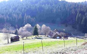 Ferienhaus Schwarzwald Seewald Erzgrube Badesee 100% Natur