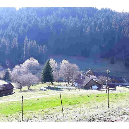 Ferienhaus Schwarzwald Seewald Erzgrube Badesee 100% Natur Exterior foto