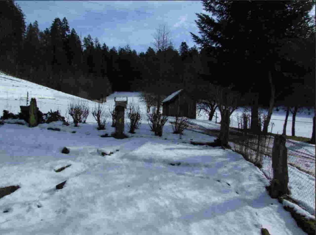 Ferienhaus Schwarzwald Seewald Erzgrube Badesee 100% Natur Exterior foto