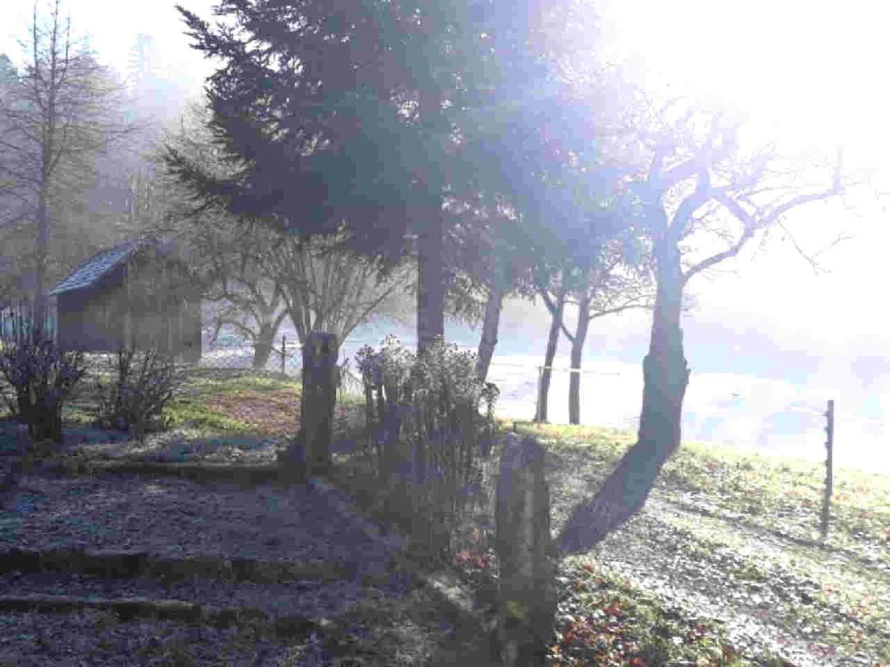 Ferienhaus Schwarzwald Seewald Erzgrube Badesee 100% Natur Exterior foto