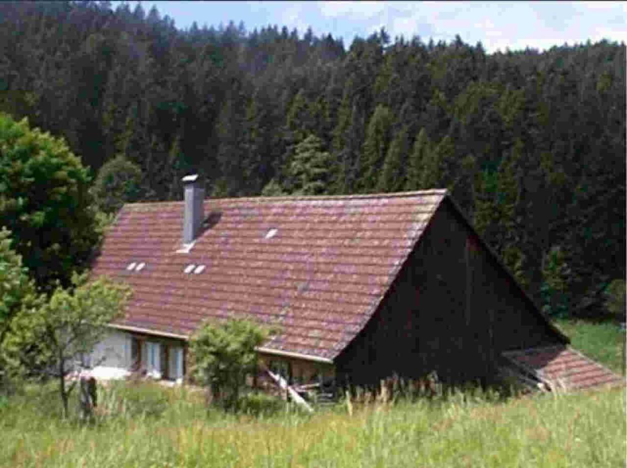 Ferienhaus Schwarzwald Seewald Erzgrube Badesee 100% Natur Exterior foto